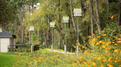 14818 Whistling Duck Ln in Magnolia, TX - Building Photo - Building Photo