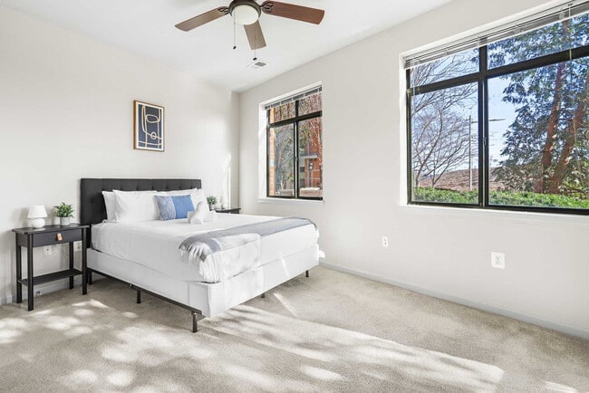 305 10th Street South in Arlington, VA - Building Photo - Building Photo