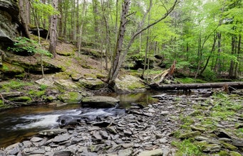 421 Brown Rd in Olivebridge, NY - Building Photo - Building Photo