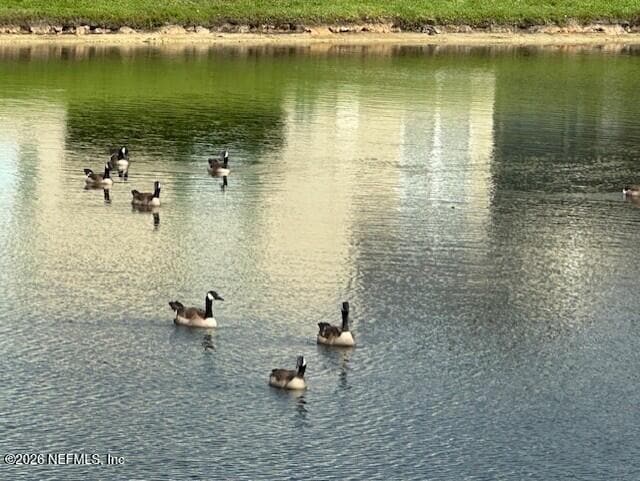 1890 Copper Stone Drive in Fleming Island, FL - Building Photo - Building Photo