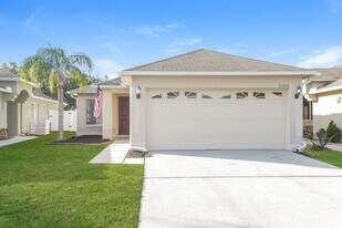 31420 Triborough Dr in Wesley Chapel, FL - Building Photo