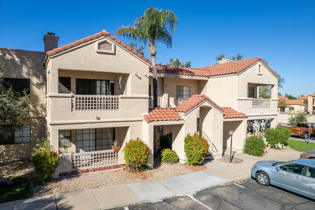 La Jolla Cove Apartments in Mesa, AZ - Building Photo - Building Photo