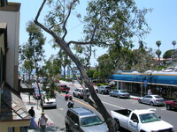 247 Broadway St, Unit Apt. B in Laguna Beach, CA - Foto de edificio - Building Photo