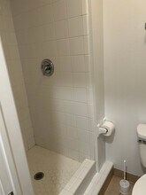 8 E Bigelow Oak Ct in Spring, TX - Building Photo - Building Photo