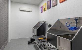 170 Malone St in Houston, TX - Building Photo