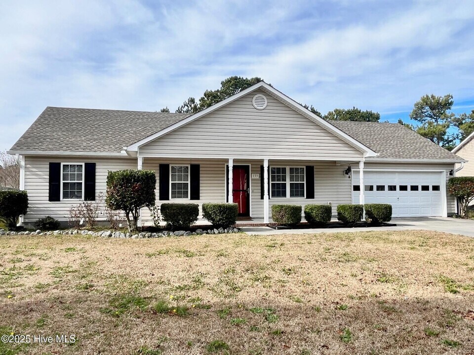 133 Lawndale Ln in Sneads Ferry, NC - Building Photo