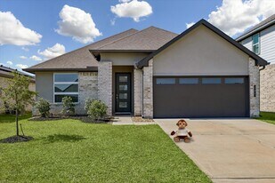 22843 Castello Lakes Dr in Katy, TX - Building Photo