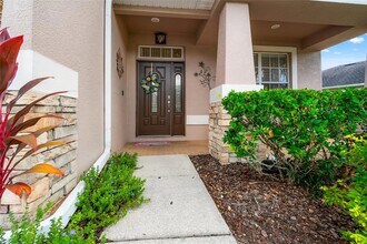 2330 Nesslewood Dr in Wesley Chapel, FL - Foto de edificio - Building Photo