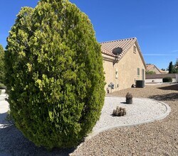 8721 Pennystone Ave in Las Vegas, NV - Building Photo - Building Photo