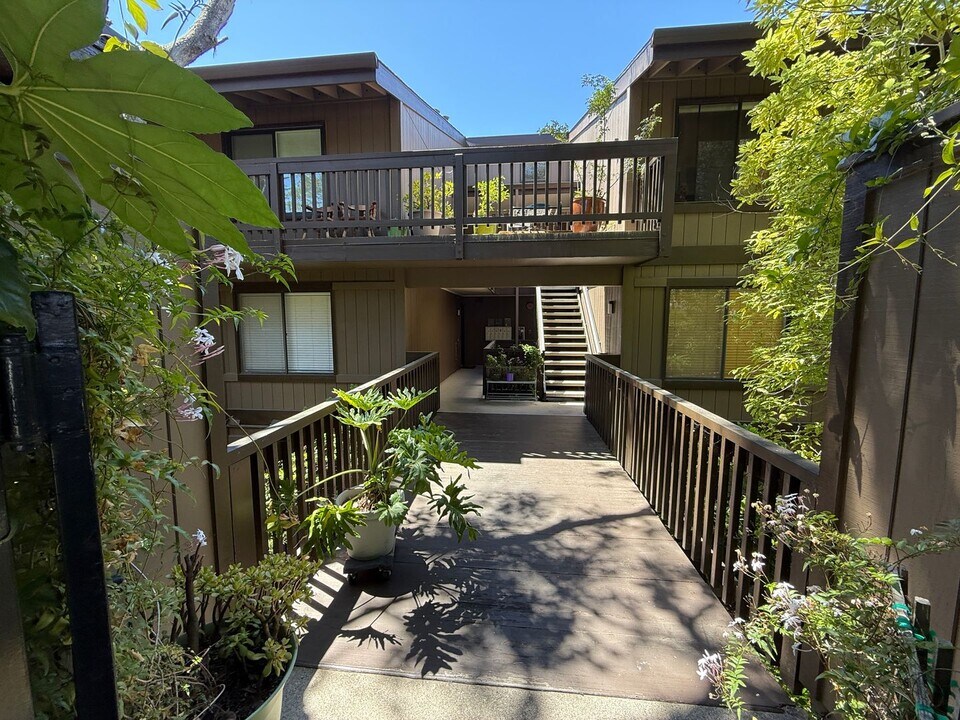 3299 La Mesa Dr in San Carlos, CA - Building Photo