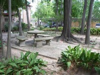 12955 Woodforest Blvd photo'