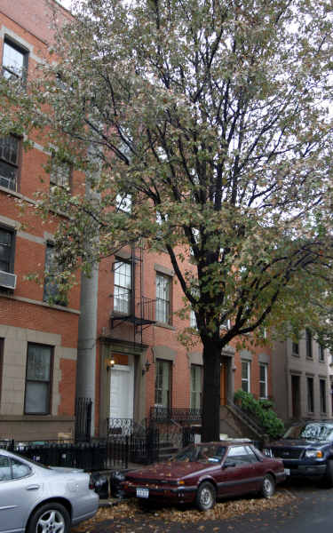 152 Carroll St in Brooklyn, NY - Building Photo - Building Photo