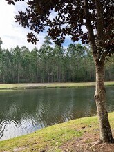 506 Scrub Jay Dr in St. Augustine, FL - Building Photo - Building Photo
