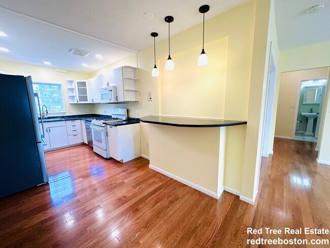 162 Lake Shore Rd in Boston, MA - Building Photo - Building Photo