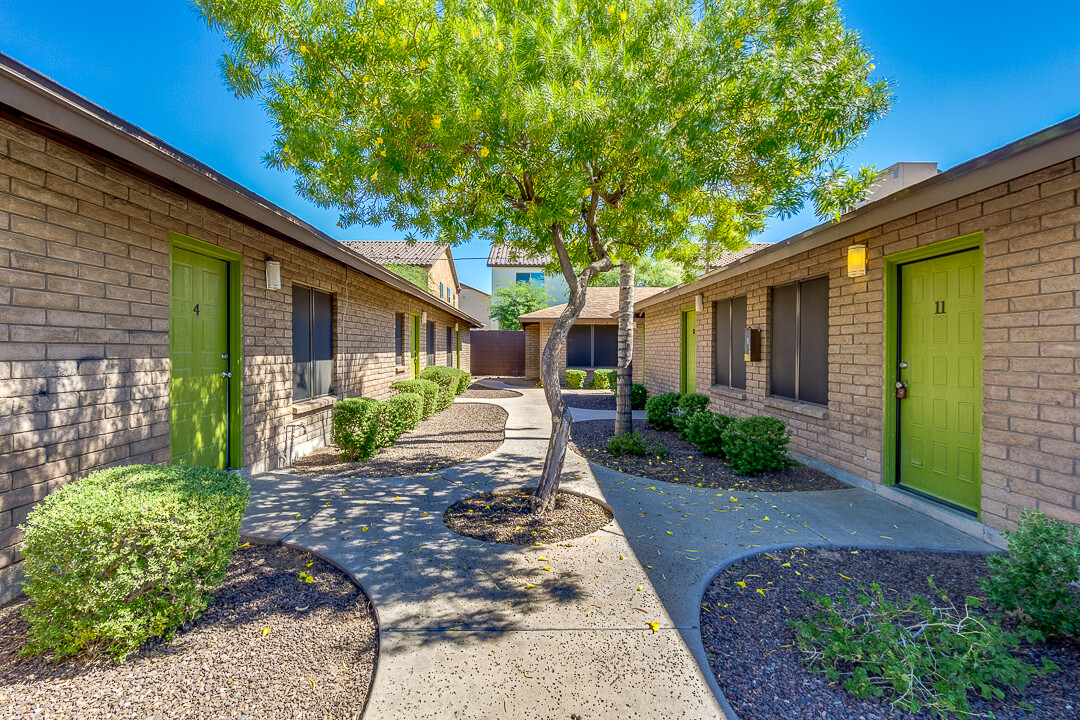 Pecan Tree in Phoenix, AZ - Foto de edificio