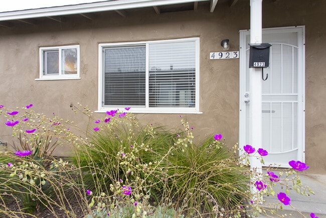 4923 Saratoga Ave in San Diego, CA - Building Photo - Building Photo