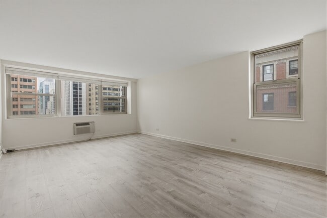 253 E Delaware Pl, Unit 12H in Chicago, IL - Building Photo - Building Photo