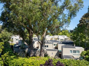 1919 Alameda de las Pulgas in San Mateo, CA - Building Photo - Building Photo