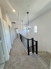 1313 Eureka Spgs St in Prosper, TX - Building Photo - Building Photo