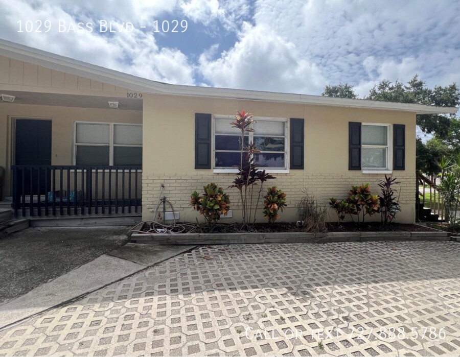1029 Bass Blvd in Dunedin, FL - Building Photo