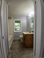 299 S Main St in Liberty, NY - Building Photo - Building Photo