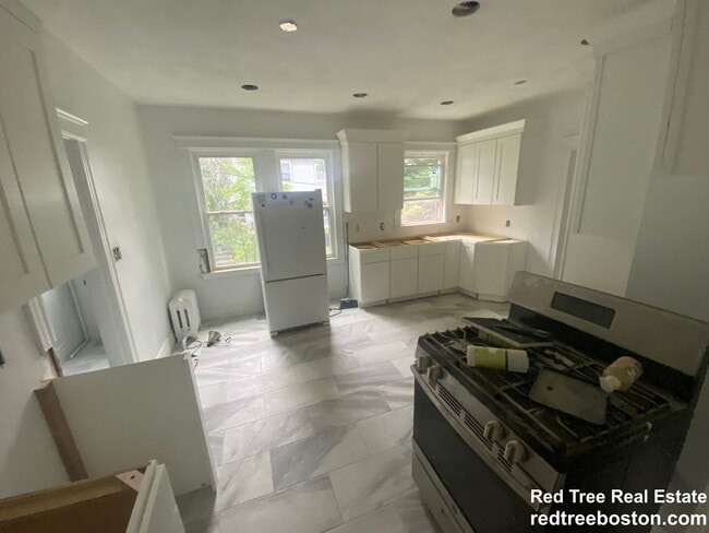 244 Winchester St, Unit 1 in Brookline, MA - Building Photo - Building Photo