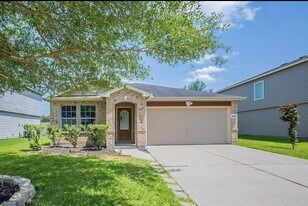 1111 Desert Springs Ln in Rosenberg, TX - Building Photo