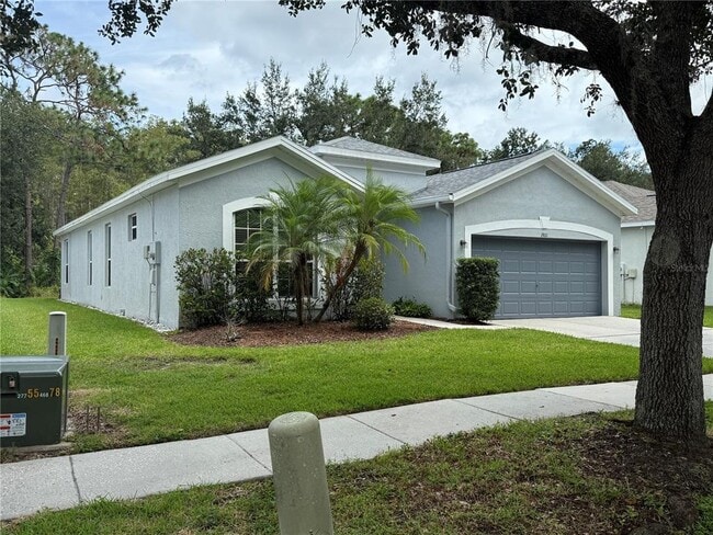 19111 Cypress Reach Ln in Tampa, FL - Building Photo - Building Photo