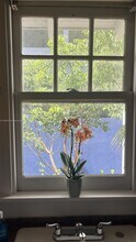 315 Eucalyptus St in West Palm Beach, FL - Building Photo - Building Photo