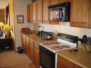 226 Marina Dr in Dillon, CO - Building Photo - Building Photo