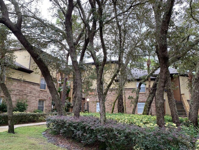 482 N Pin Oak Pl in Longwood, FL - Building Photo - Building Photo