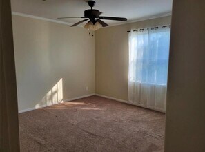21415 Snowblossom Ln in Tomball, TX - Building Photo - Building Photo