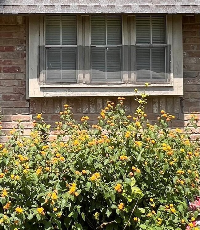 8210 Hollyleaf Dr in Spring, TX - Building Photo - Building Photo