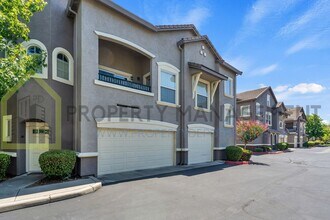 5501 Mezereon Ln in Elk Grove, CA - Building Photo - Building Photo