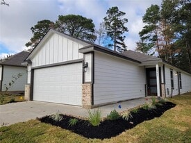 12946 Sorrento Bay Dr in Willis, TX - Building Photo