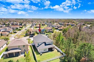 8721 Savory Walk Dr in Land O Lakes, FL - Building Photo - Building Photo