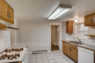 1045 N Downing St in Denver, CO - Building Photo - Building Photo