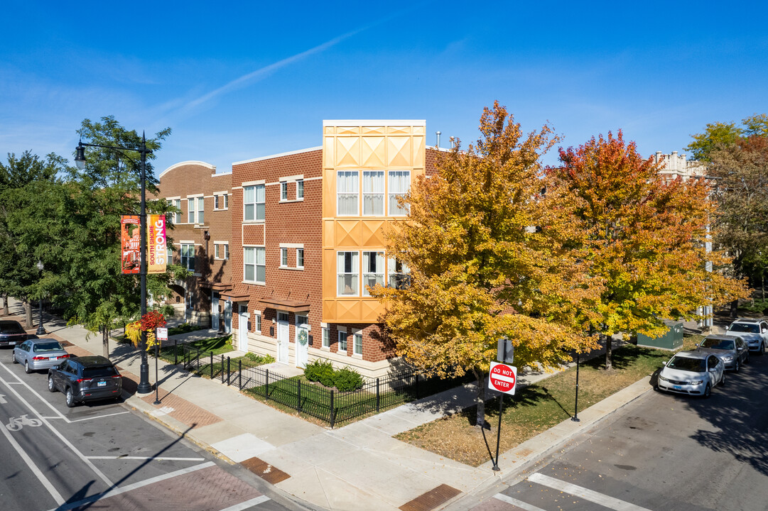 Shoreline Condominiums in Chicago, IL - Building Photo