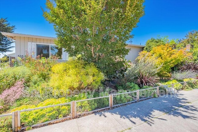 property at 515 Cayuga St