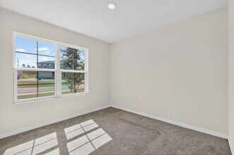 3130 Blue Crab Dr in Tavares, FL - Building Photo - Building Photo