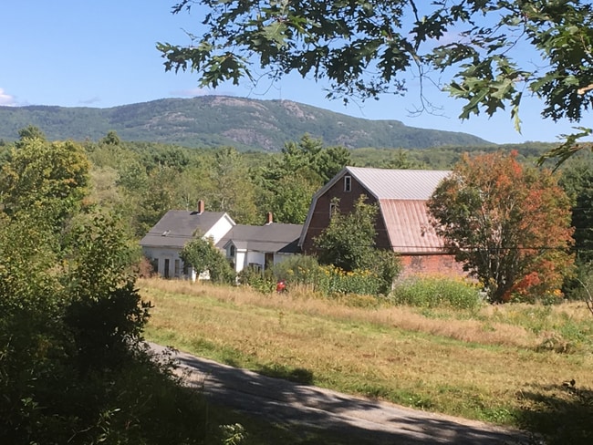 property at 314 Davis Rd