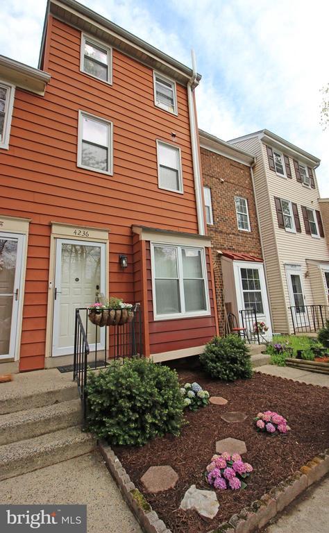 property at 4236 Bordolino Dr