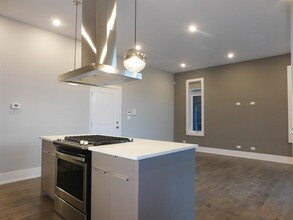 1752 W 18th Pl in Chicago, IL - Building Photo - Building Photo