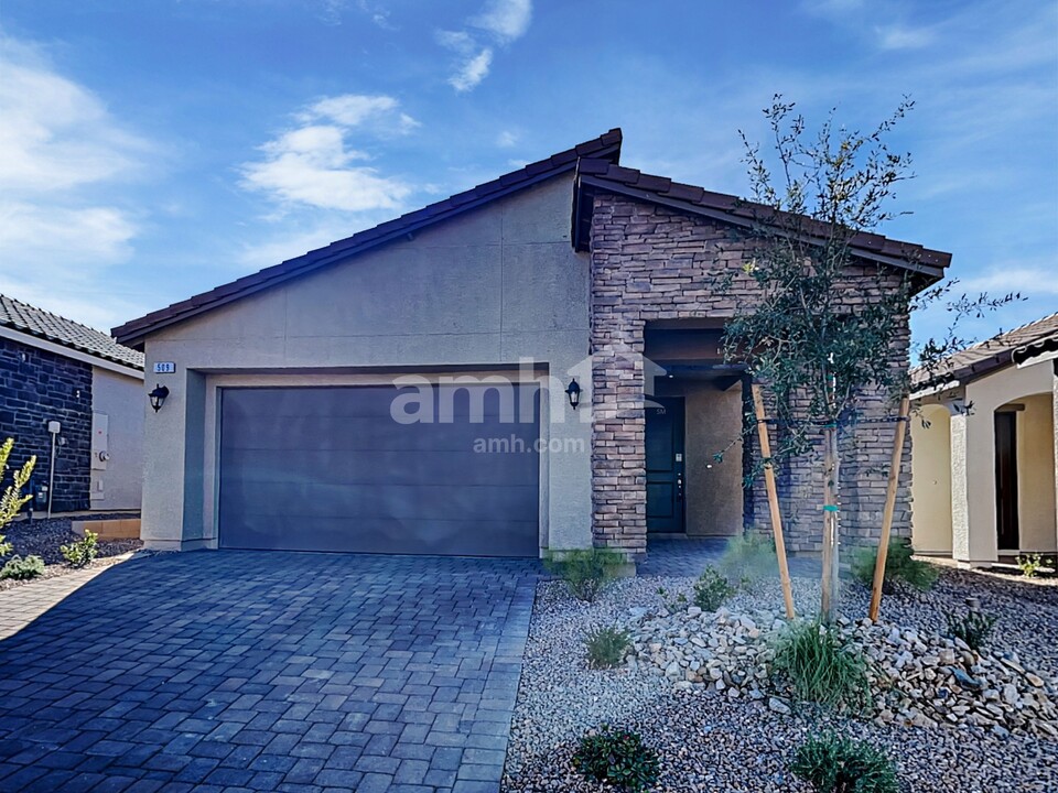 509 Silverbell Fls Pl in Henderson, NV - Building Photo