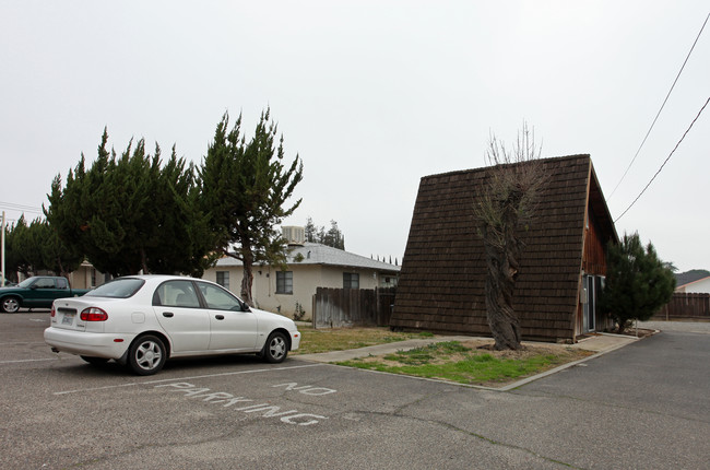 307 Almond Ave in Turlock, CA - Building Photo - Building Photo