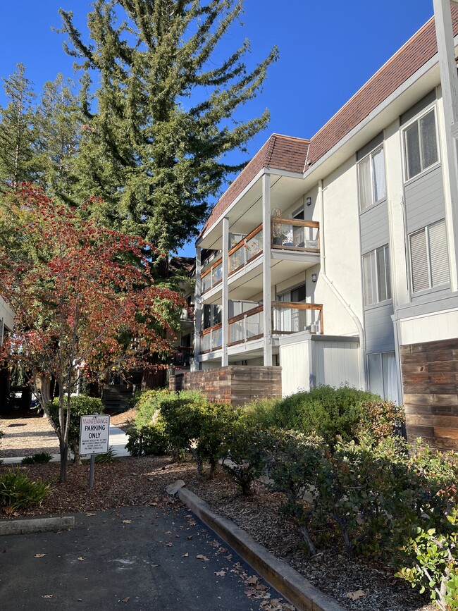 4081 Clayton Rd, Unit 132 in Concord, CA - Building Photo - Building Photo