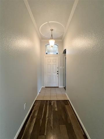 1329 Hl Vw Trl in Wylie, TX - Building Photo - Building Photo