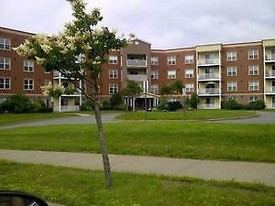 81 Parkland Rentals Apartments