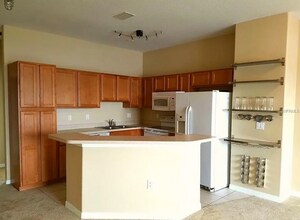 2521 Lexington Oak Dr in Brandon, FL - Building Photo - Building Photo