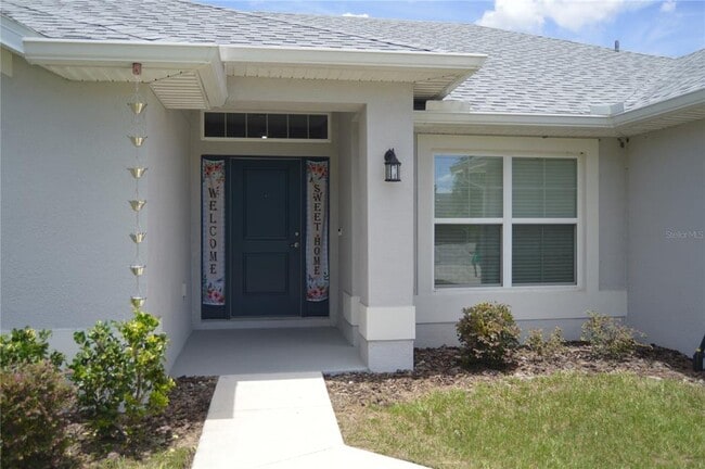2447 Rio Grande Valley Ct in Kissimmee, FL - Building Photo - Building Photo